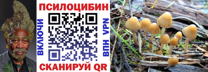 сколько стоит  Воткинск  Галлюциногенные грибы Psilocybine cubensis 